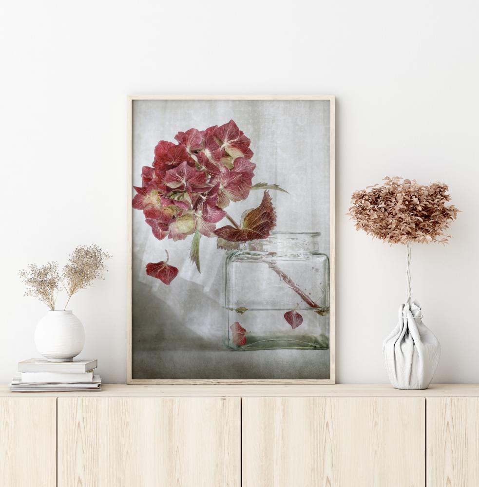 Hydrangea Poster