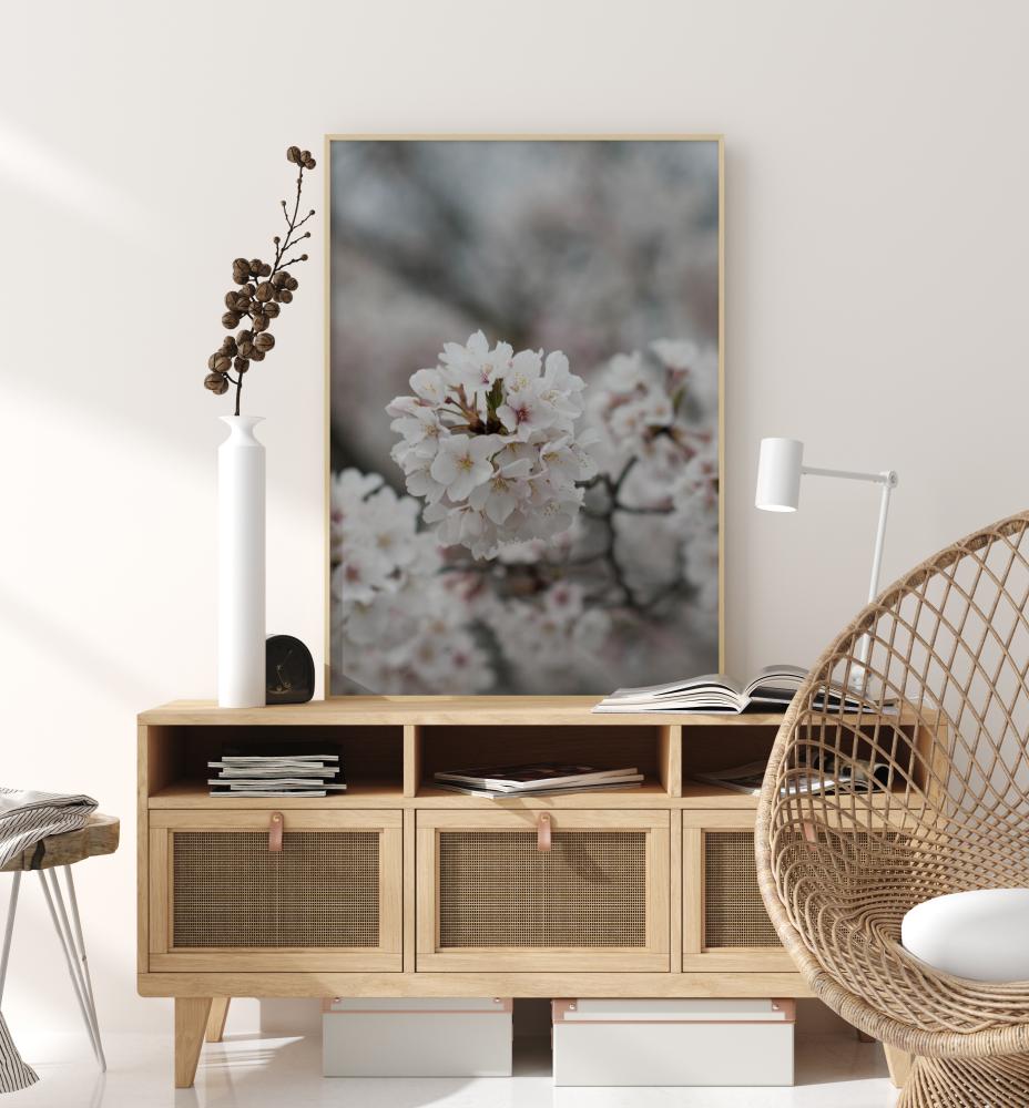 Cherryblossom Poster