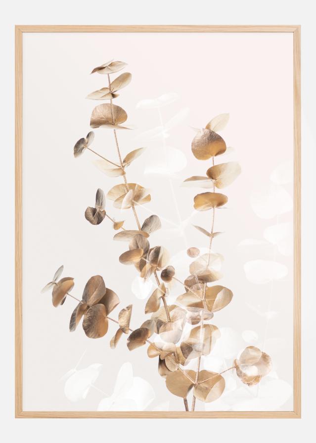 Eucalyptus Creative Gold II Poster