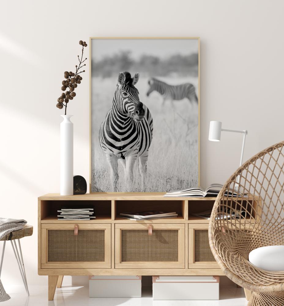 Zebra Bw Poster