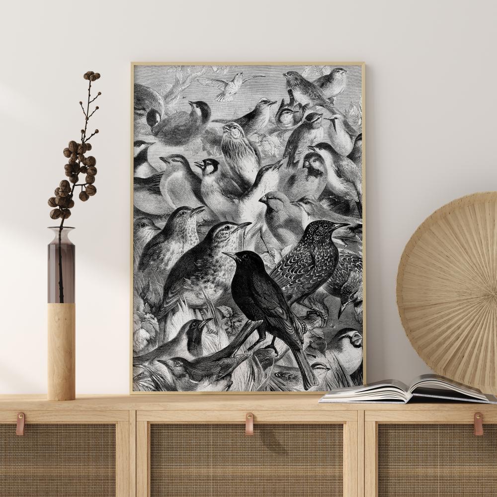 Birds Poster