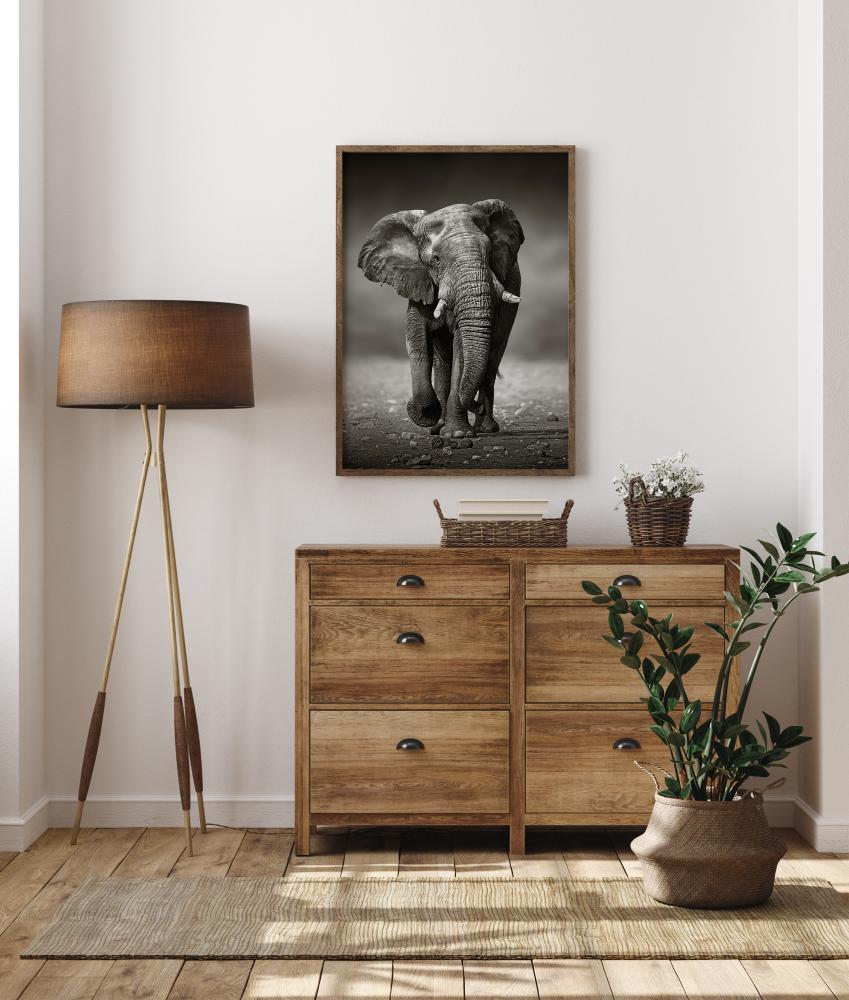 Walking Elephant Poster