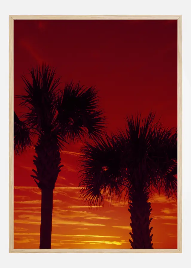 Red Palms Poster