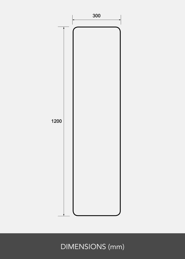 Miroir Rectangle L 30x120 cm