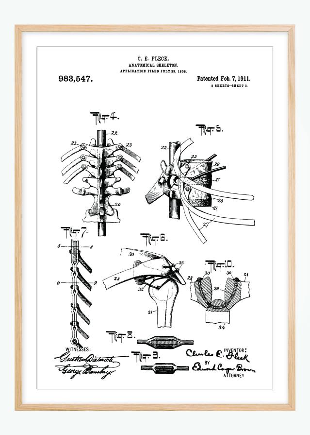 Dessin de brevet - Squelette anatomique III - Poster