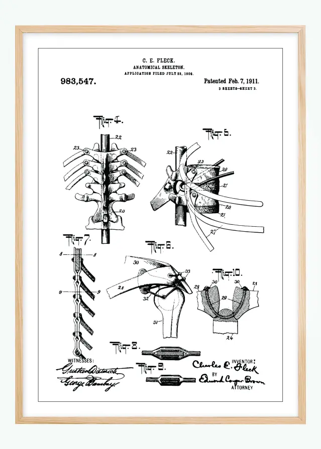 Dessin de brevet - Squelette anatomique III - Poster