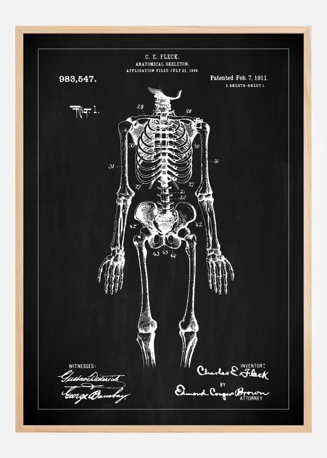 Dessin de brevet - Squelette anatomique I - Noir Poster