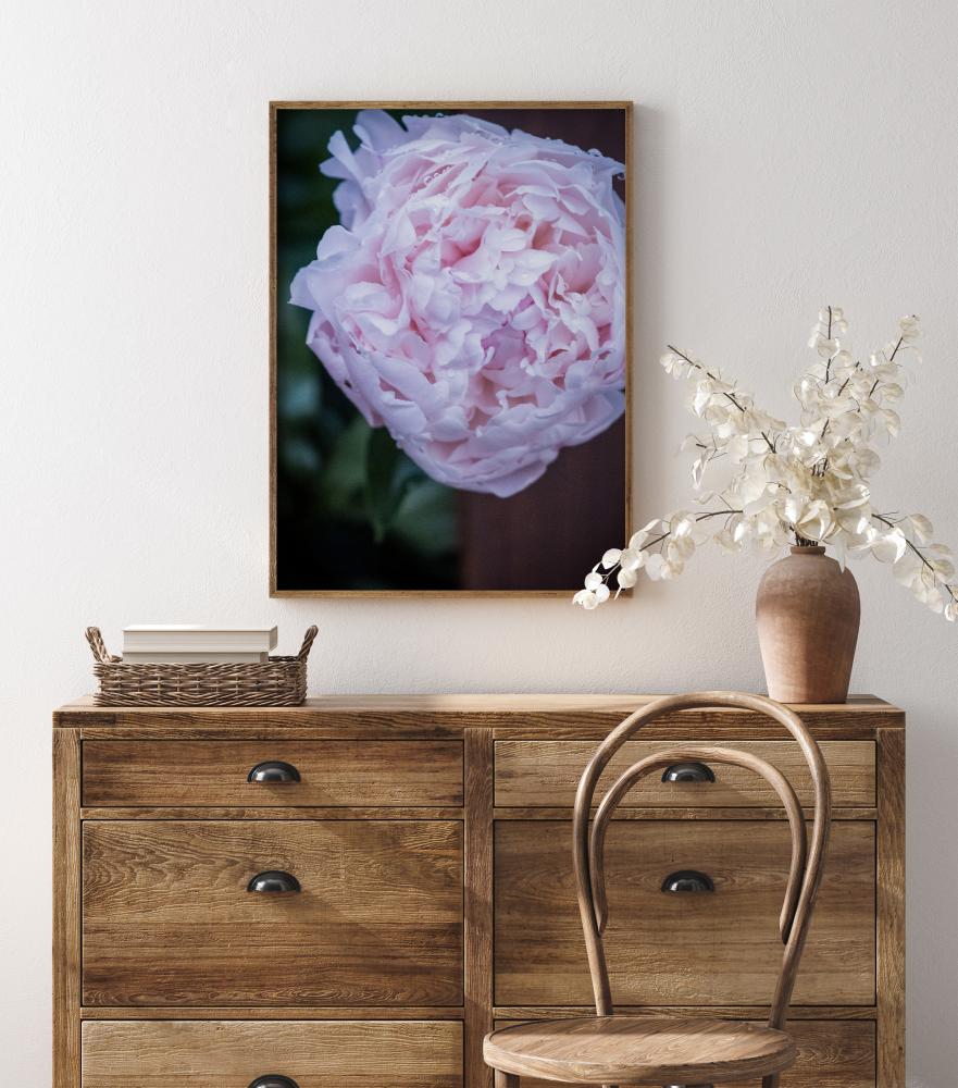 Peony I Poster